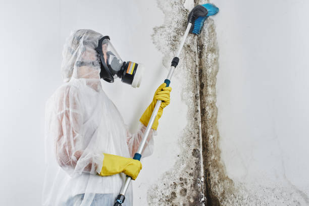 Mold Testing and Removal in Spindale, NC