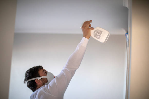 Best Toxic Mold Removal  in Spindale, NC
