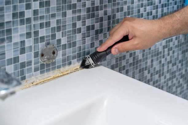 Trusted Spindale, NC Mold Removal Experts